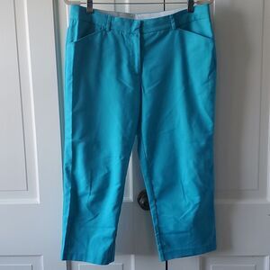 ZAC & RACHEL ZIP UP AQUA BLUE TURQUOISE CAPRI CROPPED PANTS SIZE 8 COTTON